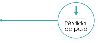 �����ʹ���(463cc) - �ٷ���վ